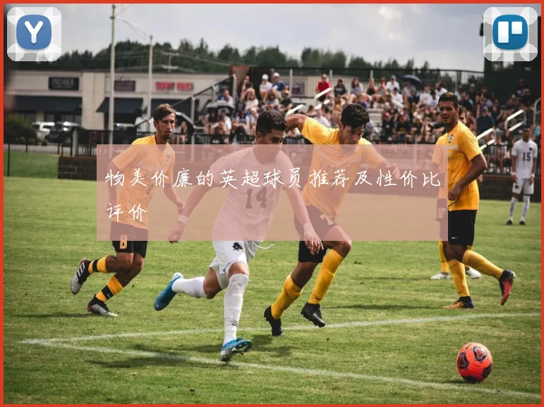 物美价廉的英超球员推荐及性价比评价