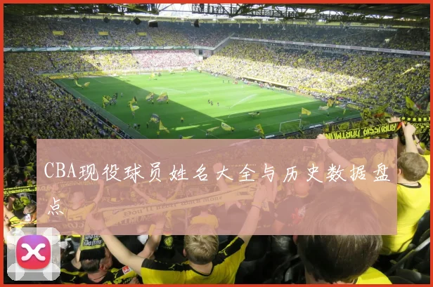 CBA现役球员姓名大全与历史数据盘点