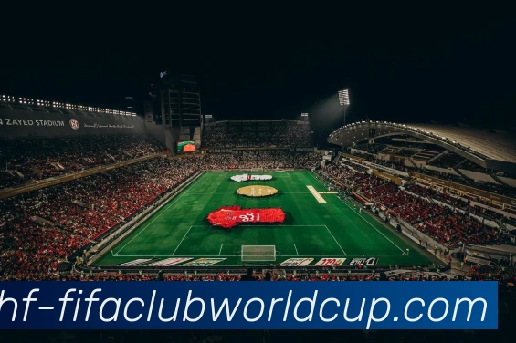 世界杯赛程平台生态图